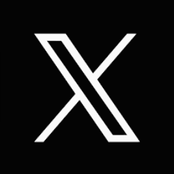 A black and white image of the letter x.